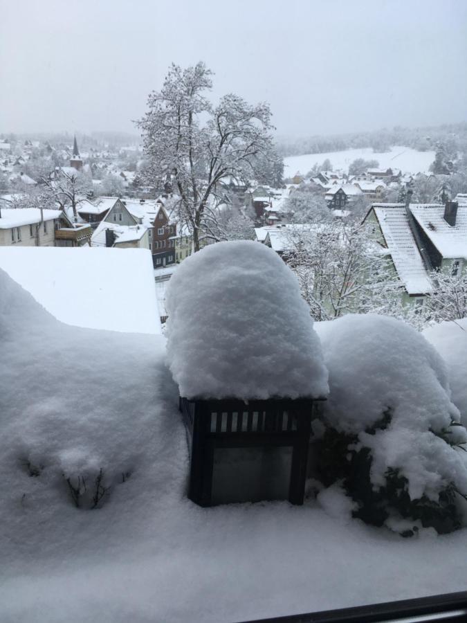 Harzer Schatz - Bergpack Suite Braunlage Exterior foto